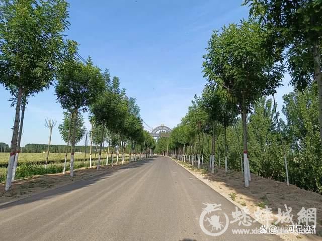 古为九河之地，境内蟋蟀文化兴..