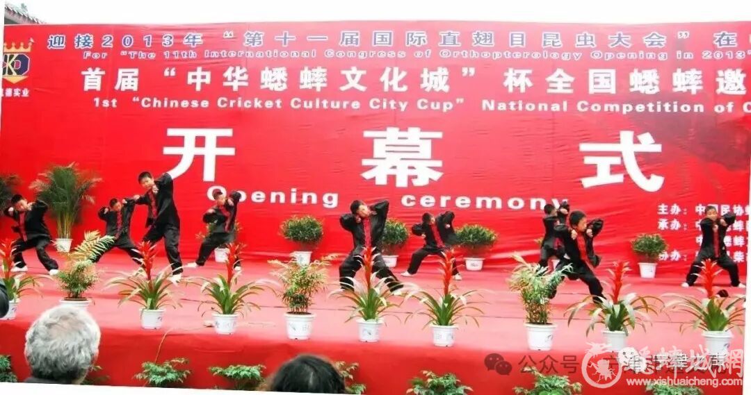宁津蟋蟀拳从虫鸣到拳风的百年..
