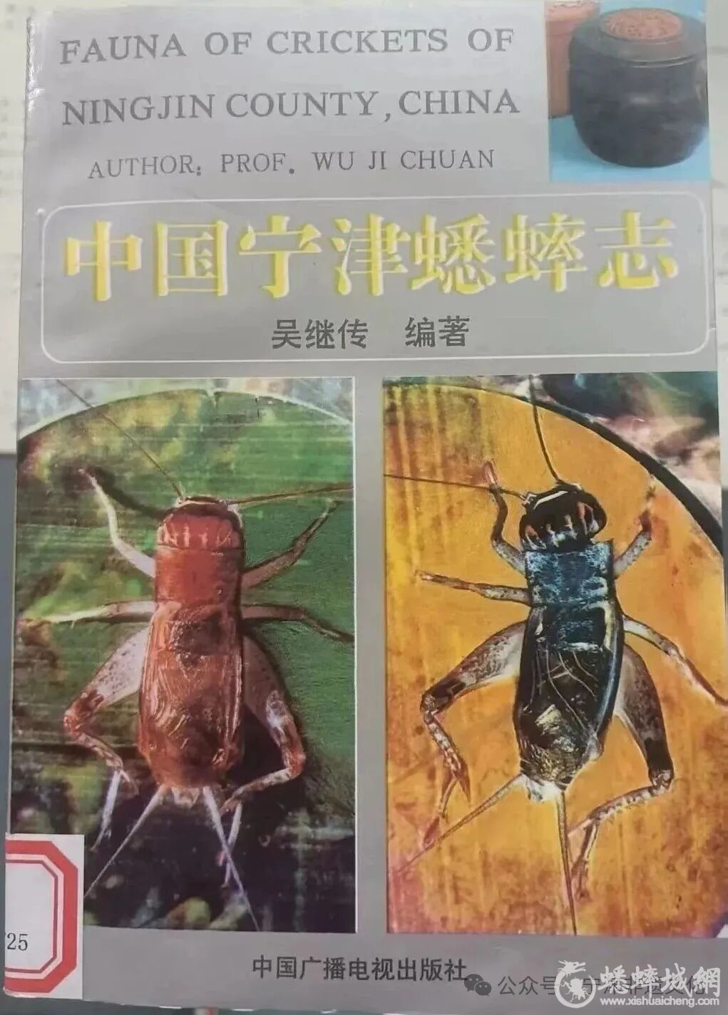 曲公博以科技赋能开拓蟋蟀文化..
