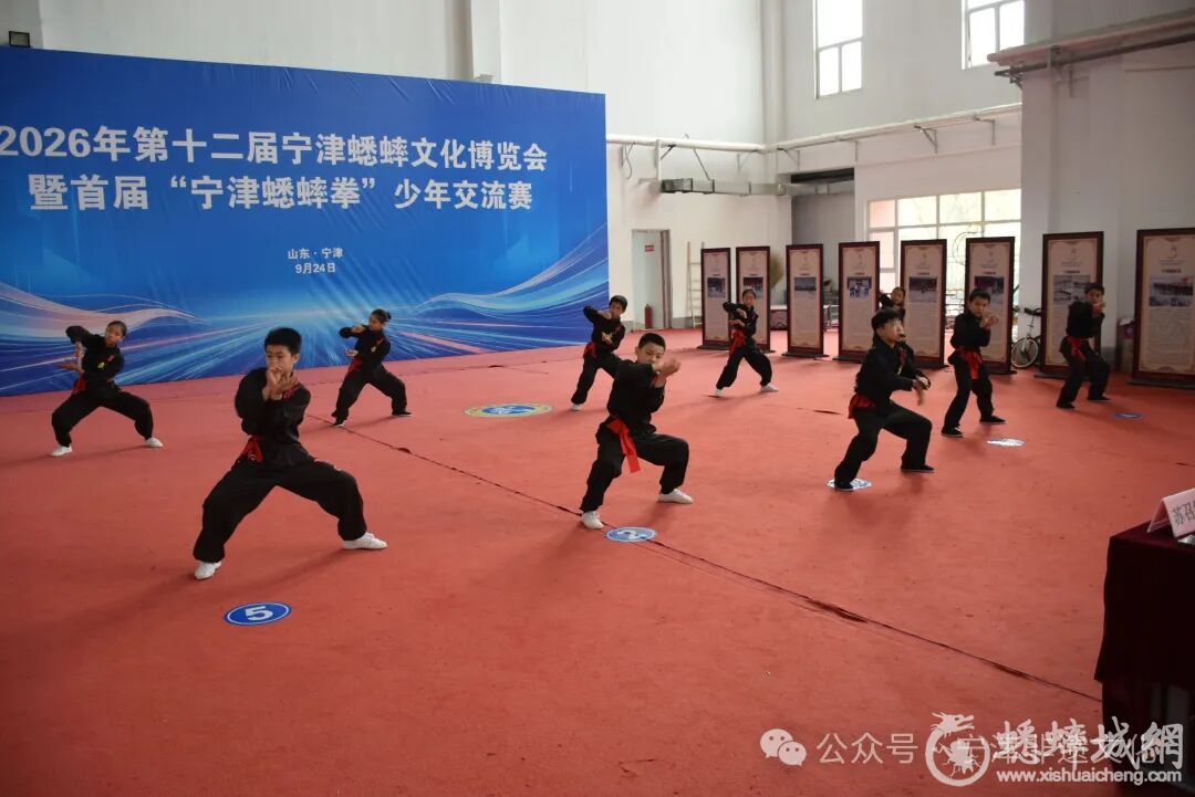 拳起虫鸣处：宁津首届蟋蟀拳少..
