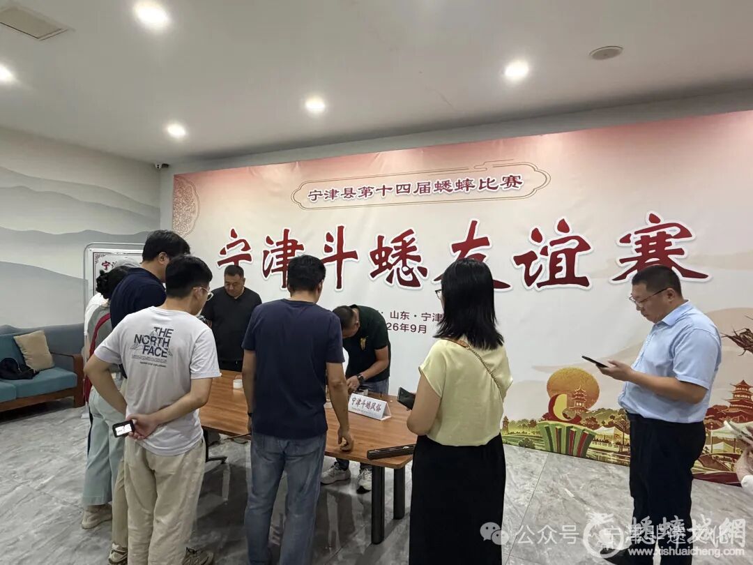 宁津斗蟋遇上非遗购物月..